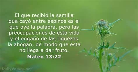 Mateo 13 .